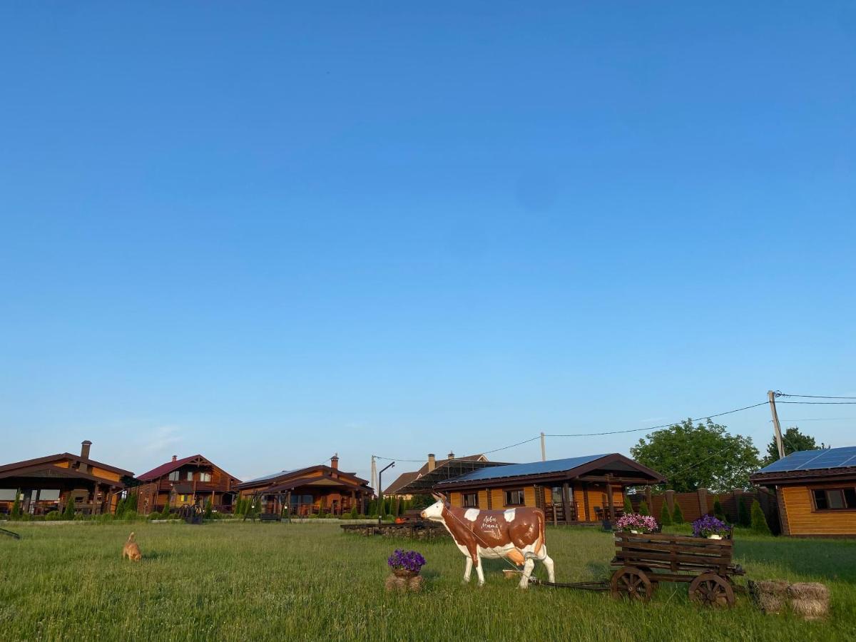 Хомене Villa Rzhyshchiv Eksteriør bilde